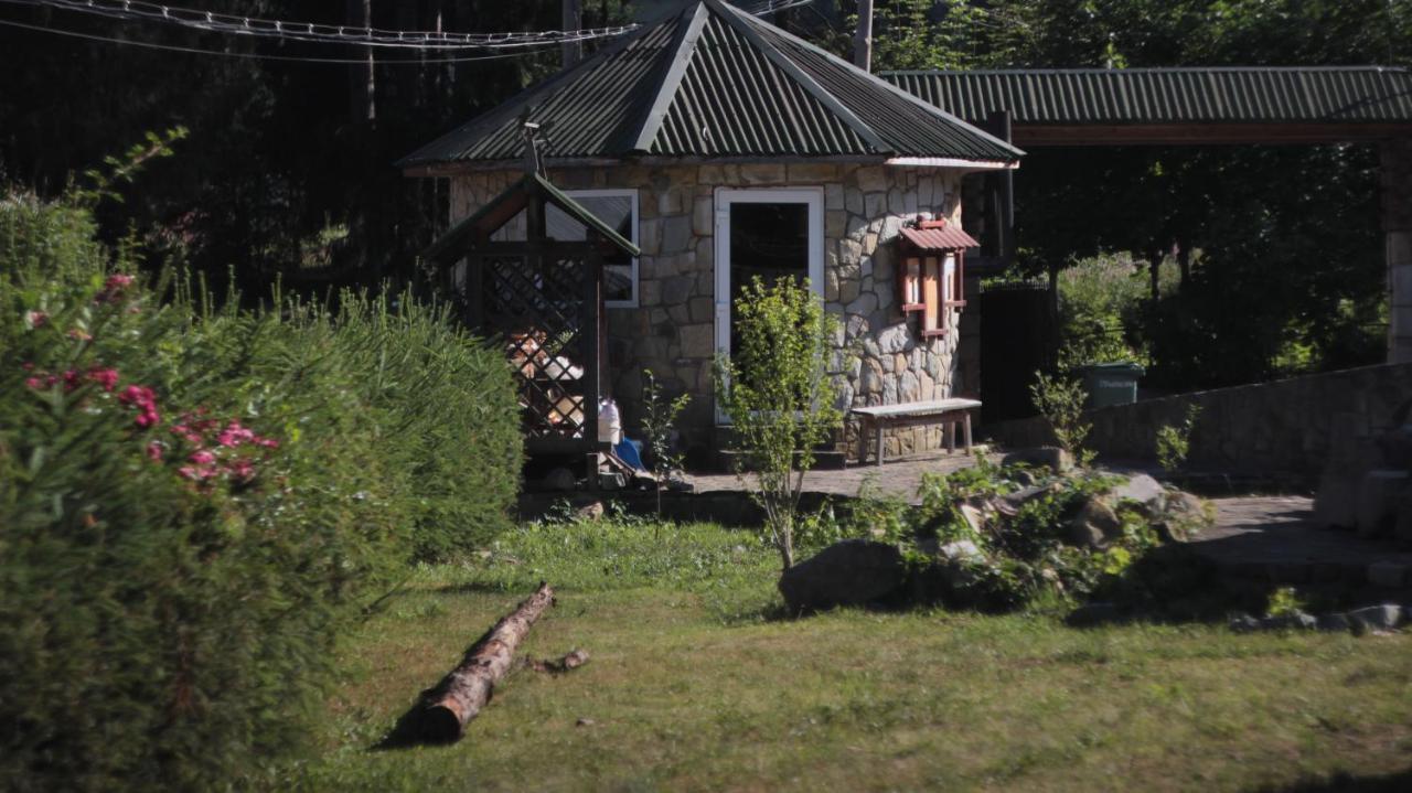 Petrovmotopunkt Iaremcea Exterior foto